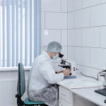 Междисциплинарный анализ цифровых игровых экосистем онлайн-казино